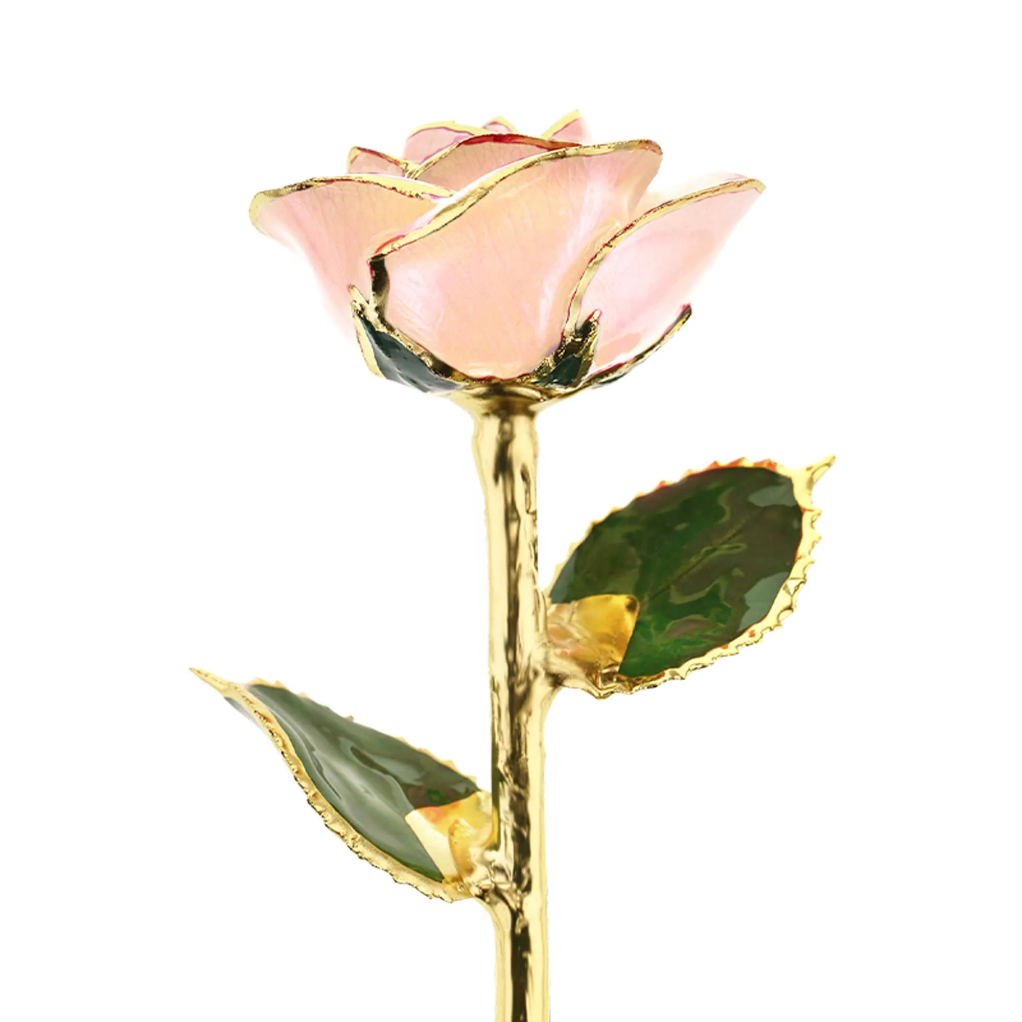 I Love You 24kt Gold Dipped Rose