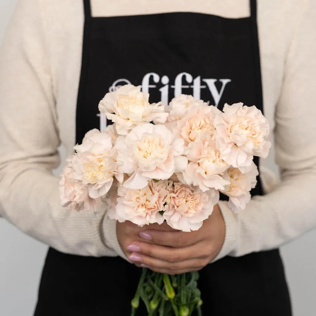 Powder Pink Carnation Flowers